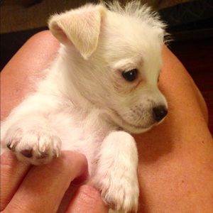 Meet your Posher, Carol